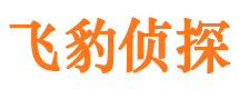 普定市私家侦探